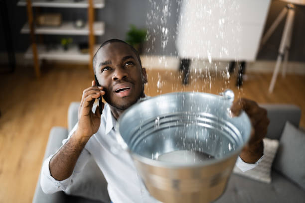 Best Basement water damage restoration  in Bainbridge, GA