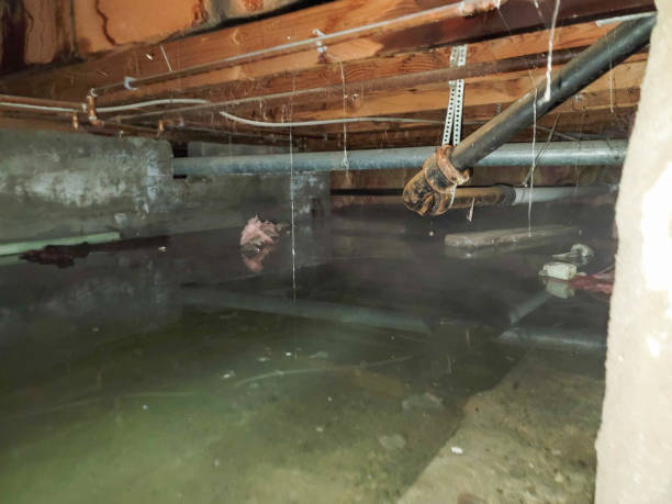 Best Water damage cleanup near me  in Bainbridge, GA