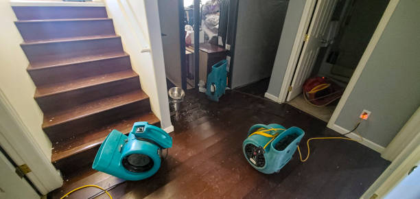 Best Ceiling water damage repair  in Bainbridge, GA