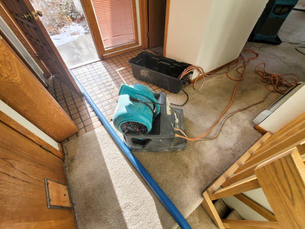  Bainbridge, GA Water damage restoration Pros