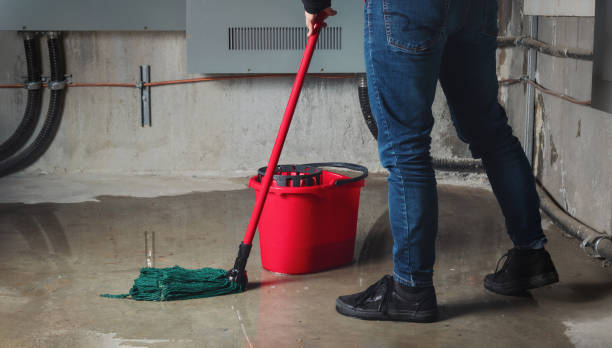 Best Basement water damage restoration  in Bainbridge, GA