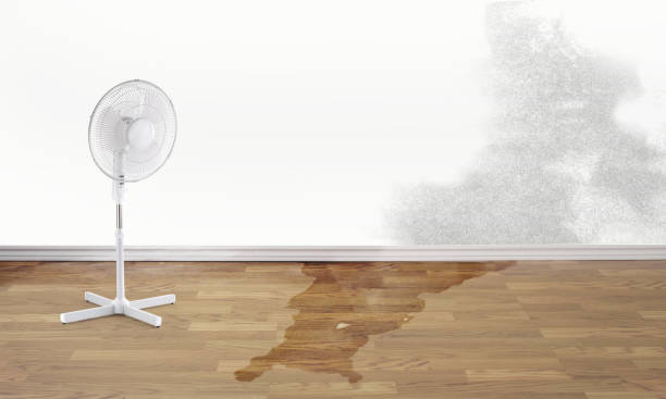Best Emergency water damage restoration  in Bainbridge, GA