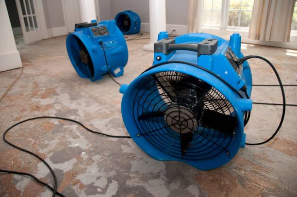 Best 24-hour water damage restoration  in Bainbridge, GA