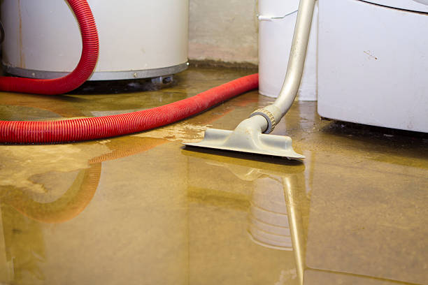 Best Professional water damage repair  in Bainbridge, GA