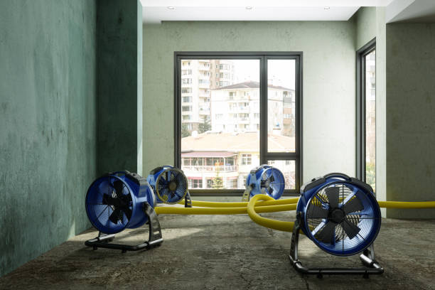 Best Carpet water damage restoration  in Bainbridge, GA