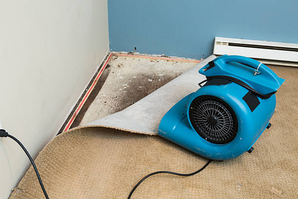 Best Water damage restoration process  in Bainbridge, GA